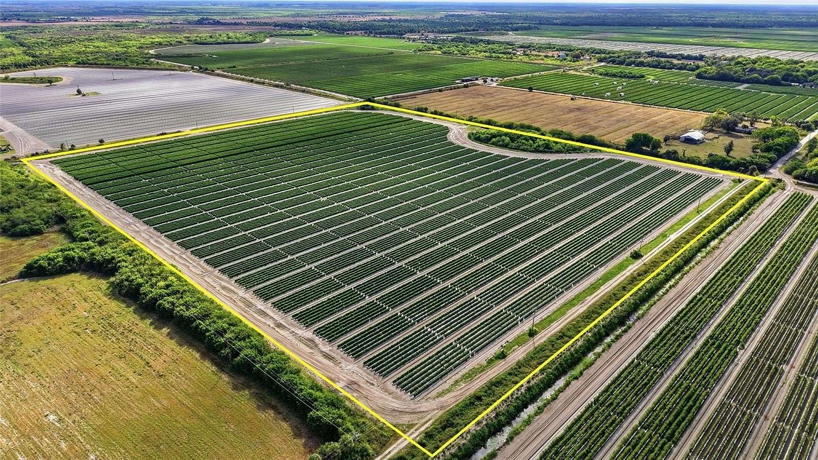 38.8 Acres of Improved Land for Sale in Immokalee, Florida