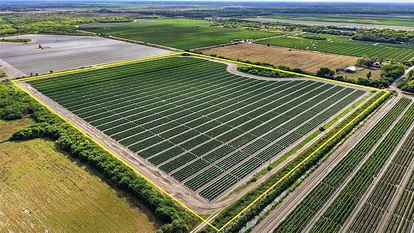 38.8 Acres of Improved Agricultural Land for Sale in Immokalee, Florida
