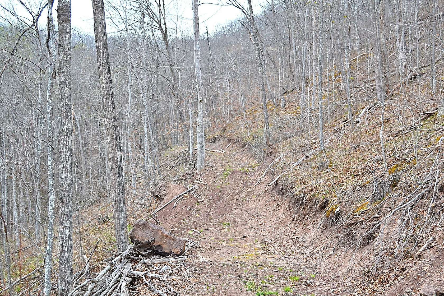 77 Acres of Land for Sale in Dawson, West Virginia