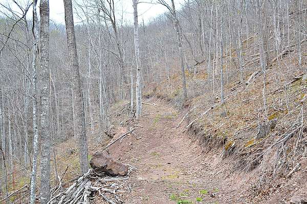 77 Acres of Land for Sale in Dawson, West Virginia
