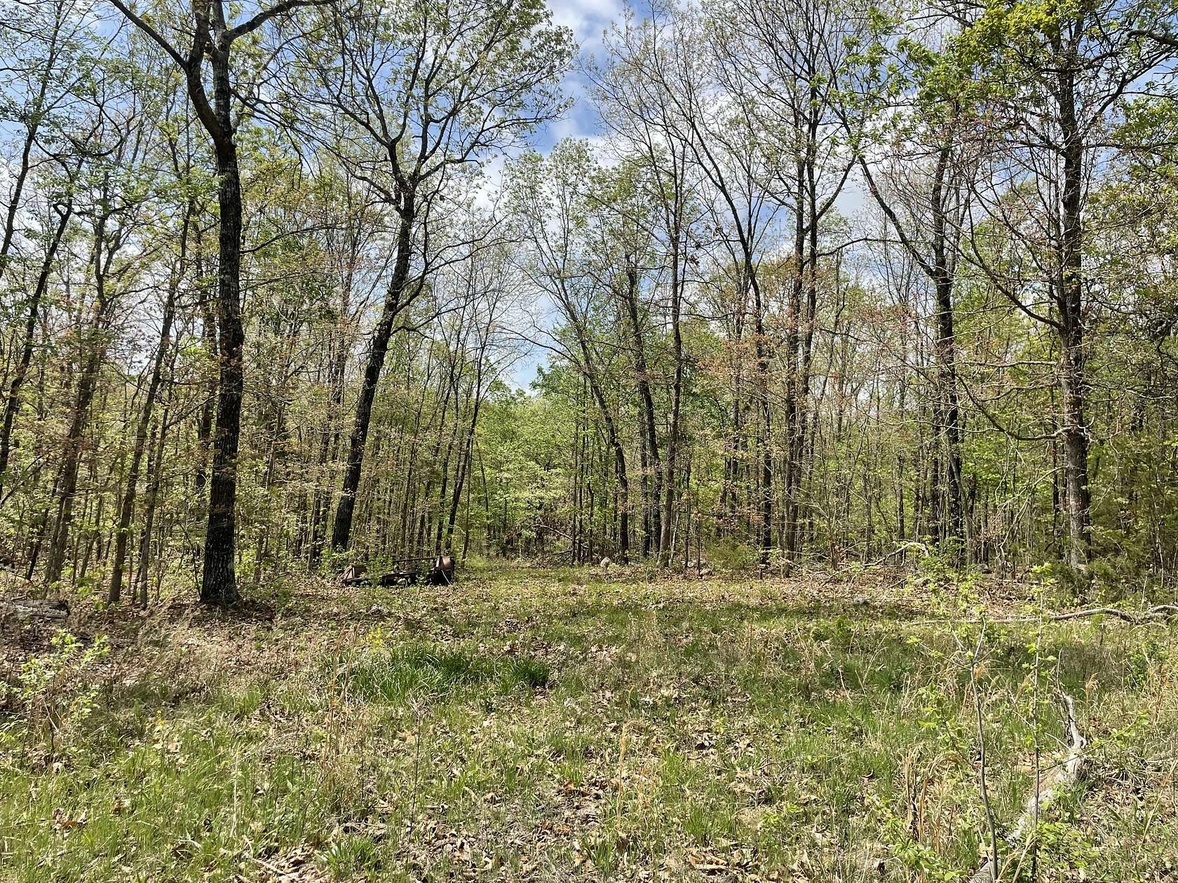 40 Acres of Recreational & Residential Land for Sale in Ava, Missouri