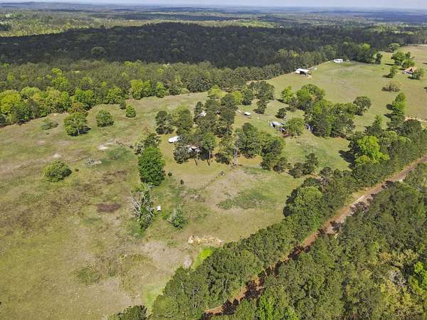 20 Acres of Land for Sale in Colmesneil, Texas
