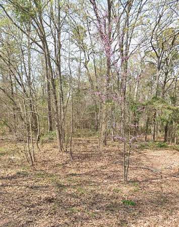 0.29 Acres of Land for Sale in Gilmer, Texas