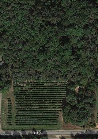 3 Acres of Residential Land for Sale in West Olive, Michigan