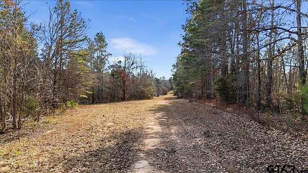 81 Acres of Land for Sale in Troup, Texas