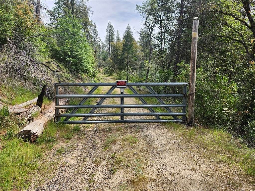 39.6 Acres of Land for Sale in Berry Creek, California