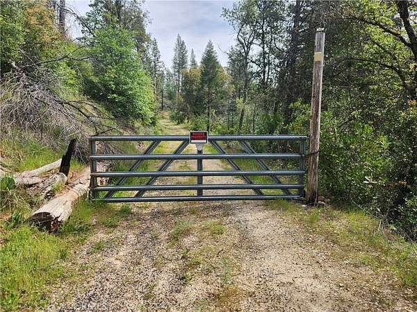 39.6 Acres of Land for Sale in Berry Creek, California