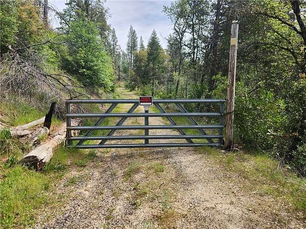39.6 Acres of Land for Sale in Berry Creek, California