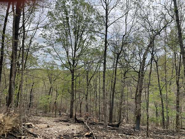 40 Acres of Recreational & Residential Land for Sale in Ava, Missouri