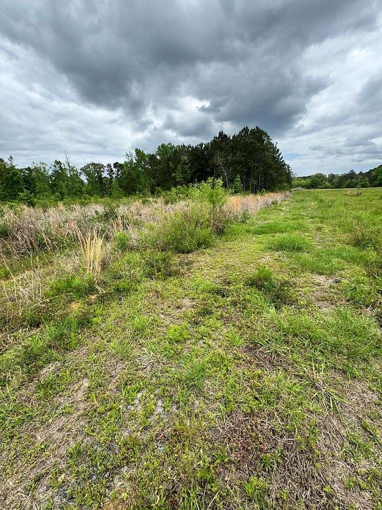 4.9 Acres of Land for Sale in San Augustine, Texas