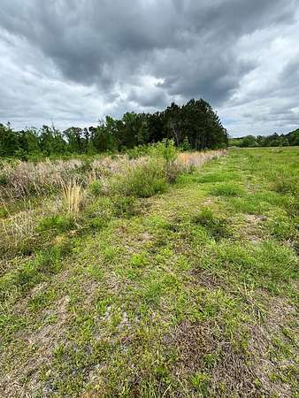 4.9 Acres of Land for Sale in San Augustine, Texas