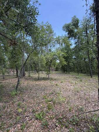 0.45 Acres of Residential Land for Sale in Lee, Florida