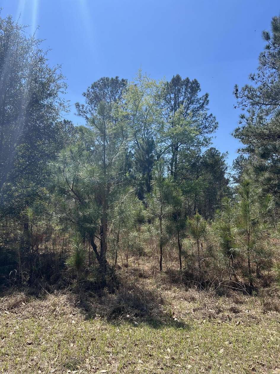1 Acre of Land for Sale in Sardis, Georgia