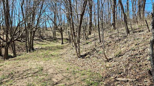 3 Acres of Residential Land for Sale in Glenville, North Carolina