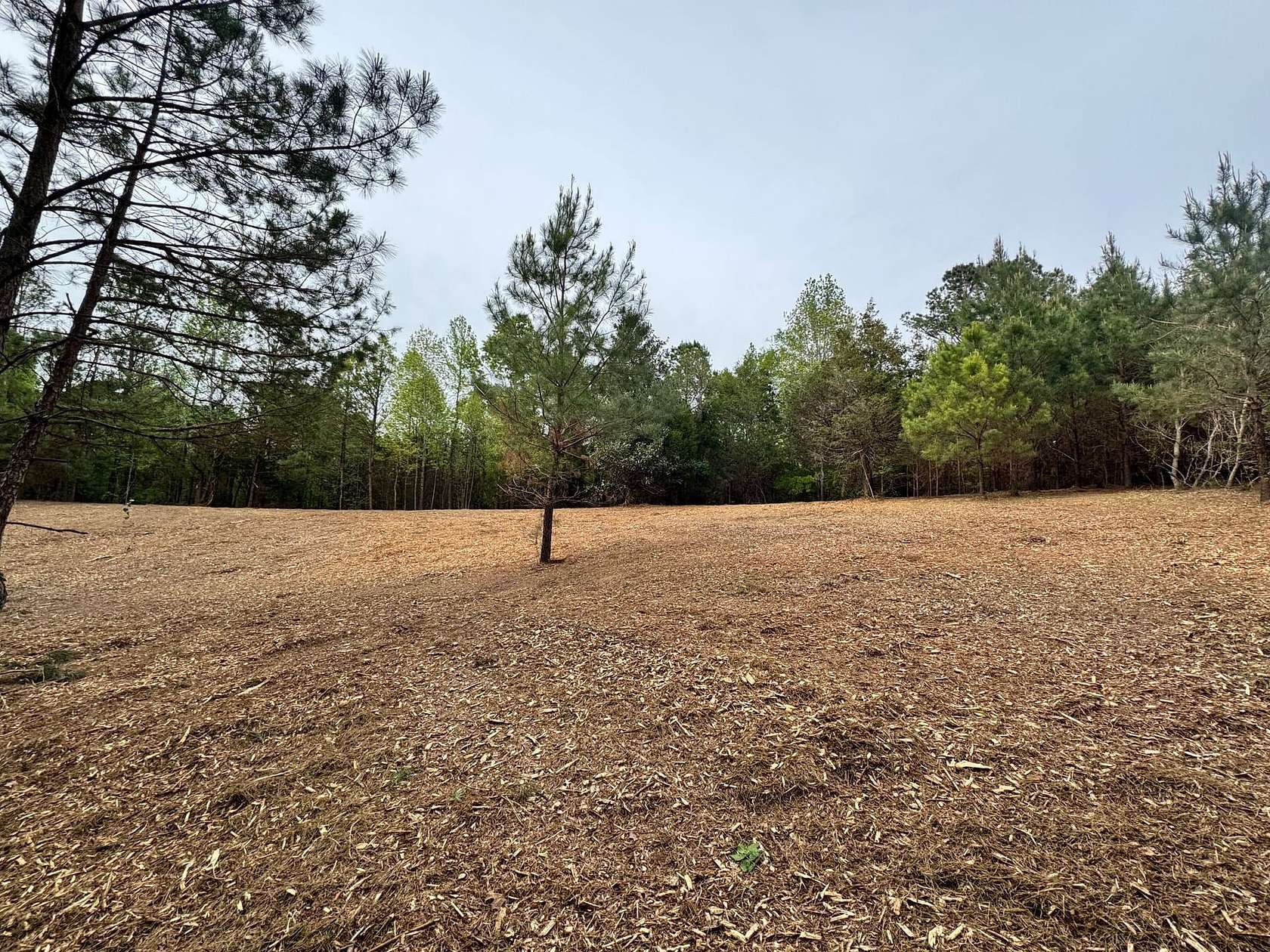 10 Acres of Recreational & Residential Land for Sale in Ramer, Alabama