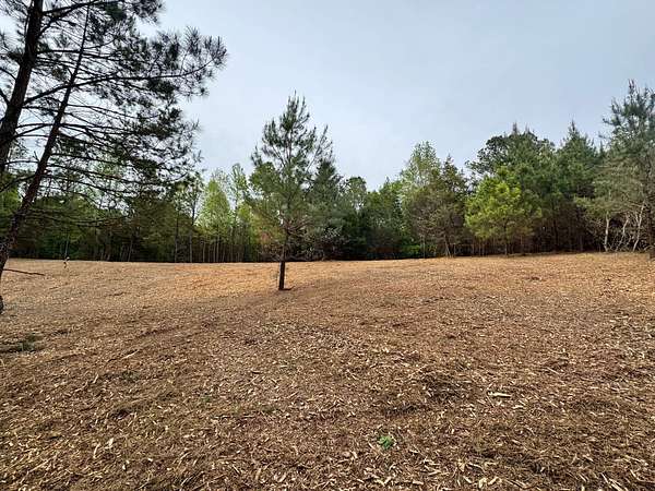 10 Acres of Recreational & Residential Land for Sale in Ramer, Alabama