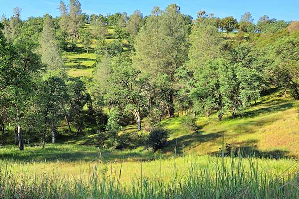 15.1 Acres of Recreational & Residential Land for Sale in Coulterville, California