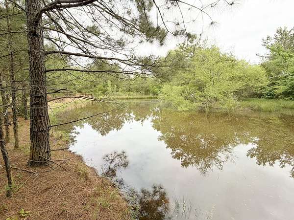 35.3 Acres of Recreational Land for Sale in Carthage, Texas