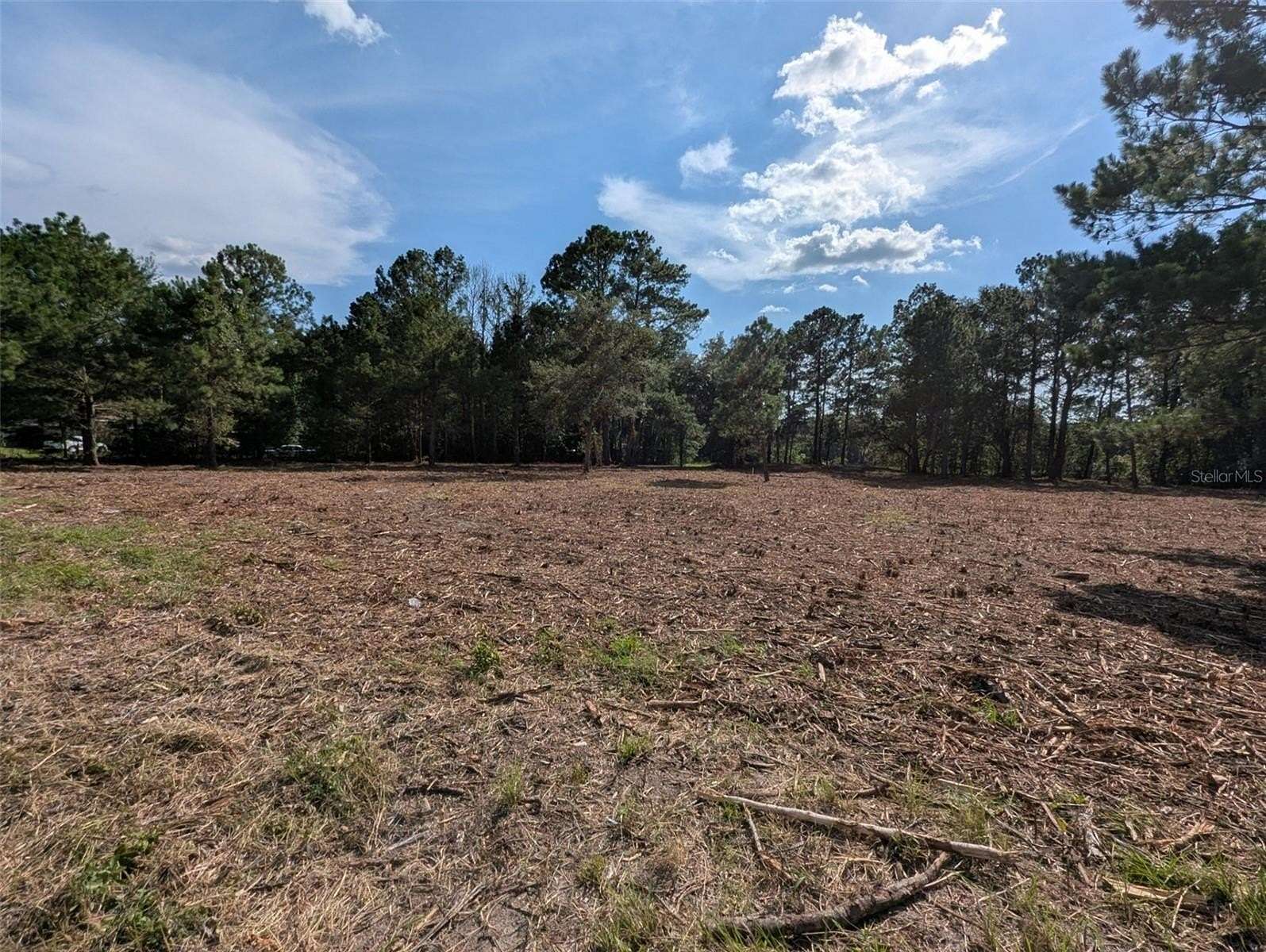 1.15 Acres of Residential Land for Sale in Lake Butler, Florida