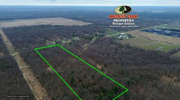 20 Acres of Land for Sale in Pullman, Michigan