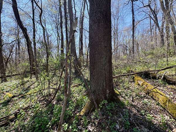 50 Acres of Recreational Land for Sale in Brownsville, Pennsylvania