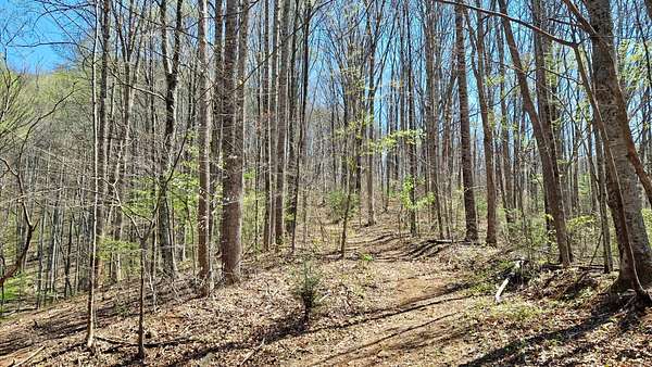 12.6 Acres of Recreational & Residential Land for Sale in Sylva, North Carolina