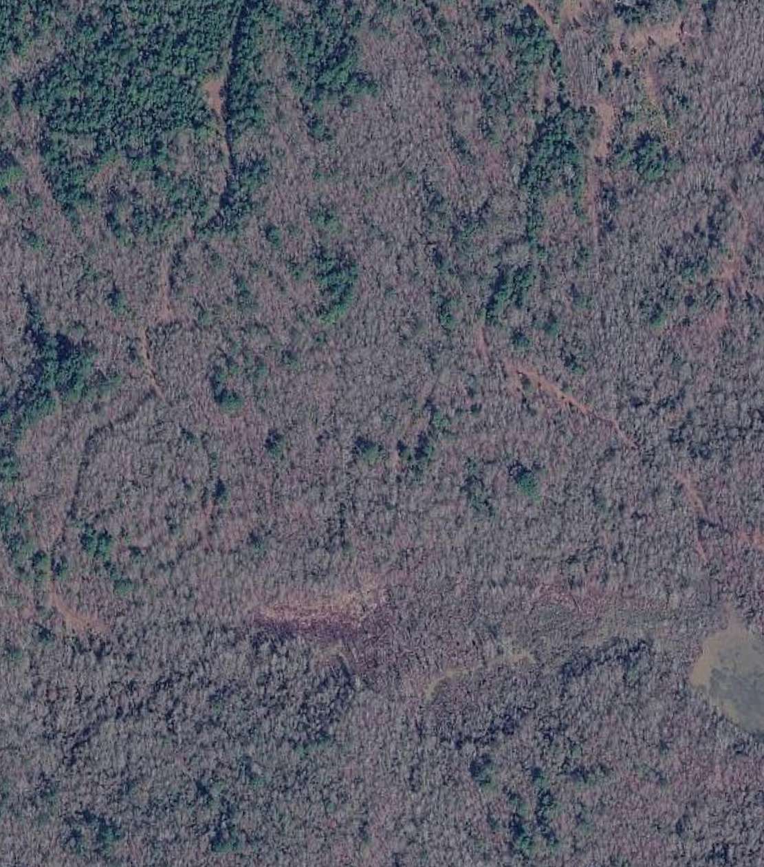 40 Acres of Land for Sale in Kiblah, Arkansas