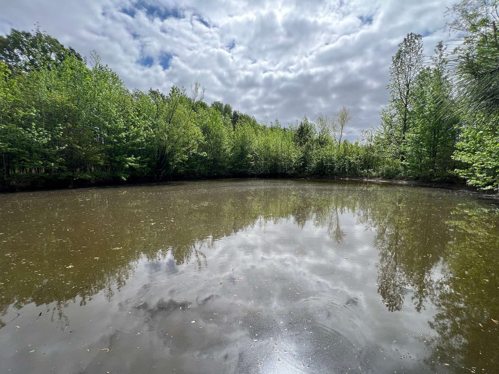 7 Acres of Land for Sale in Higginson, Arkansas