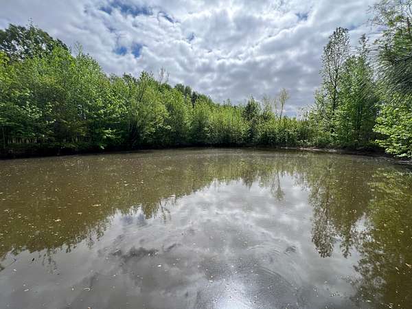 7 Acres of Land for Sale in Higginson, Arkansas