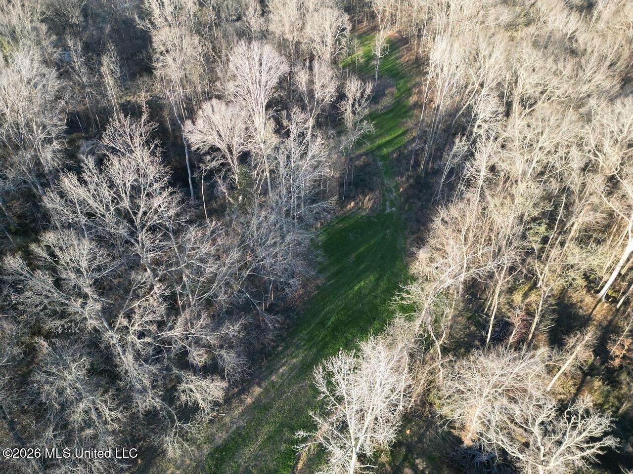 80 Acres of Land with Home for Sale in Fayette, Mississippi