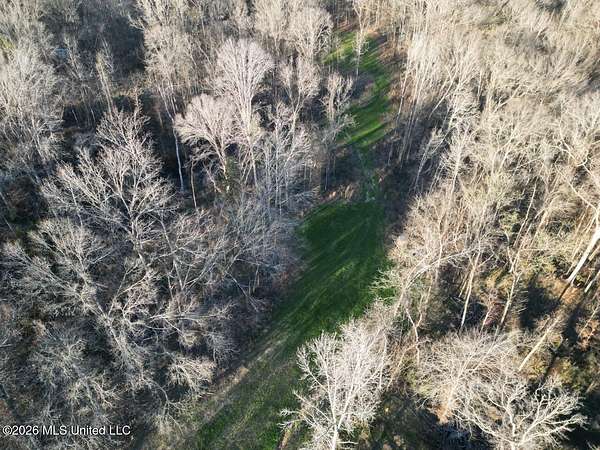 80 Acres of Land with Home for Sale in Fayette, Mississippi