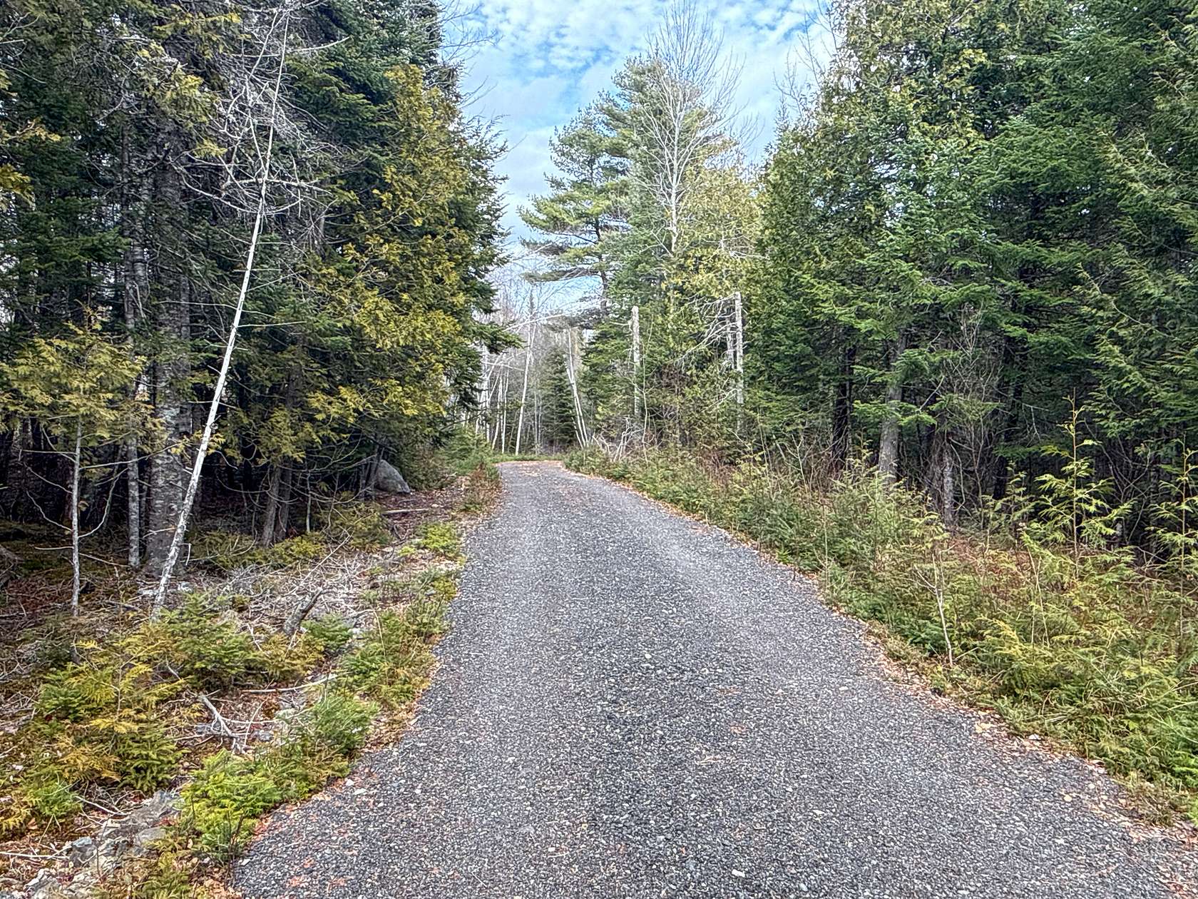 10.9 Acres of Land for Sale in Lee, Maine