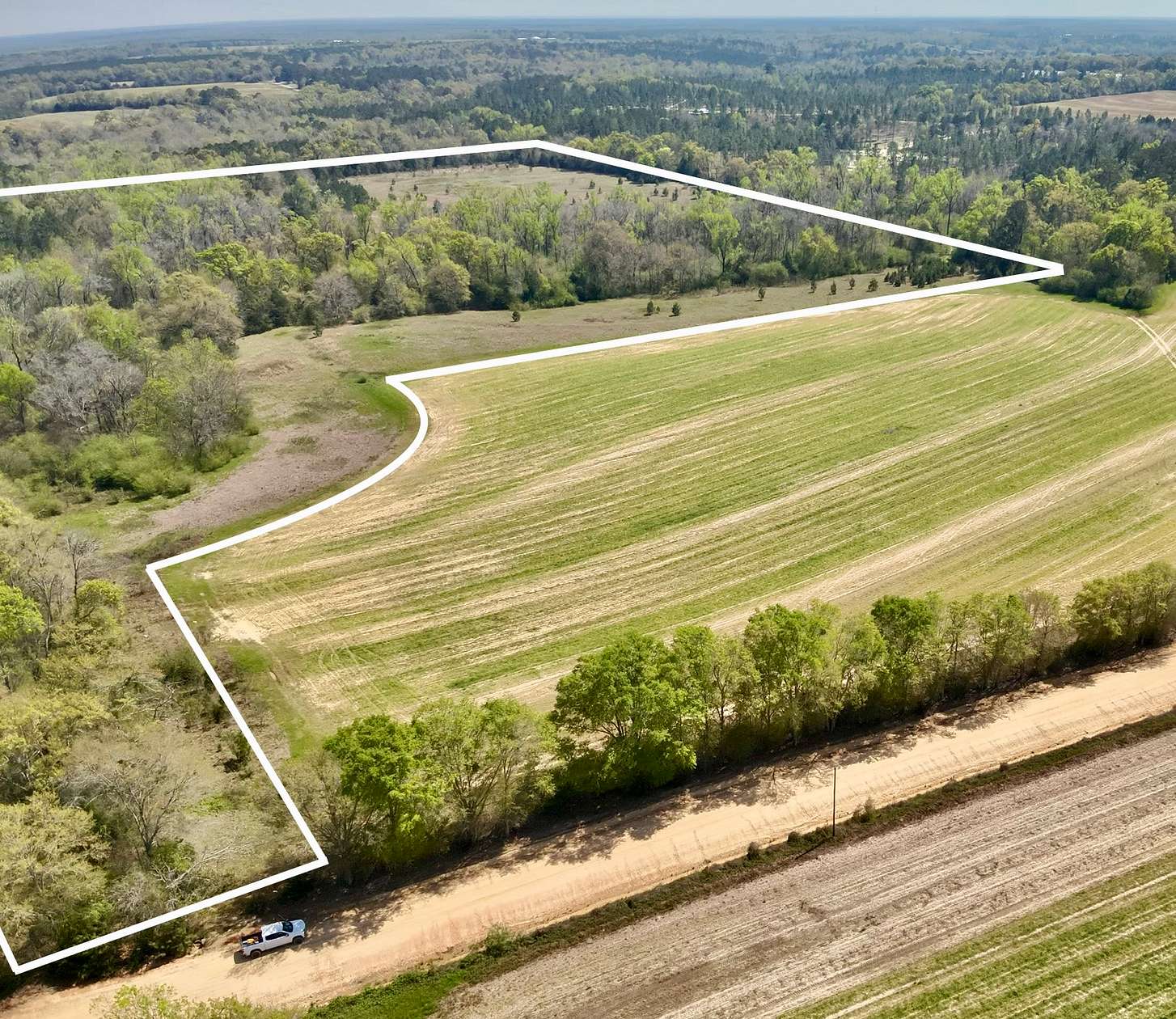 50 Acres of Land for Sale in Pansey, Alabama