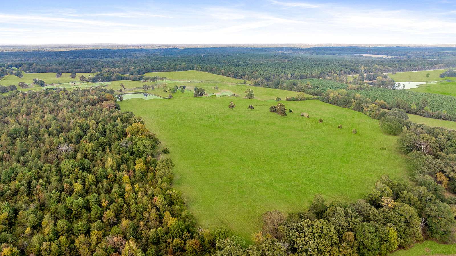 40 Acres of Land for Sale in New Boston, Texas