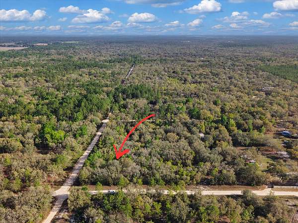 1.25 Acres of Residential Land for Sale in Bronson, Florida