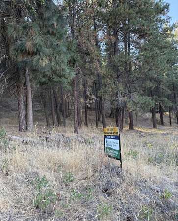 2.32 Acres of Residential Land for Sale in Naches, Washington