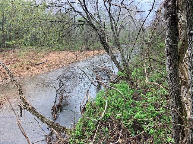 47 Acres of Land for Sale in Williford, Arkansas