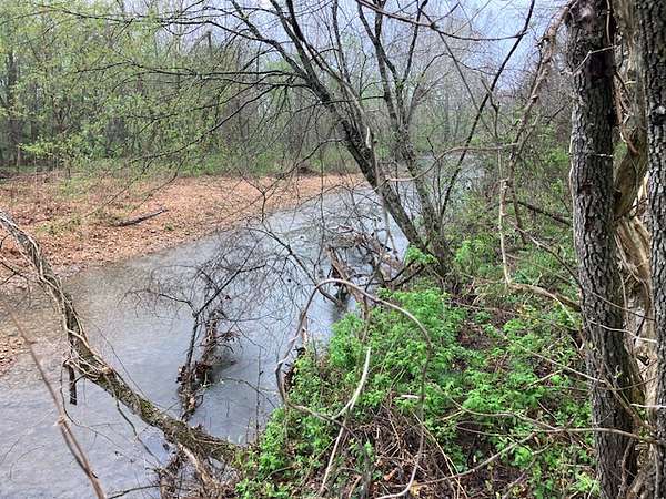 47 Acres of Land for Sale in Williford, Arkansas