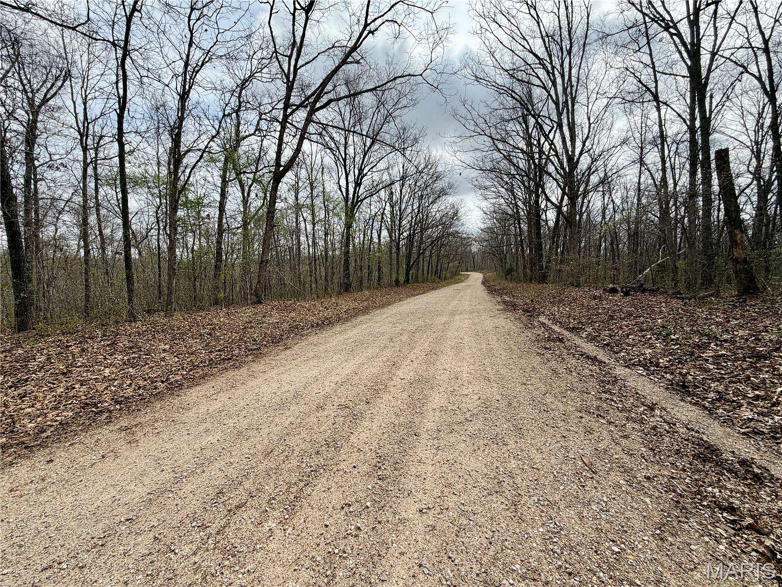 20 Acres of Land for Sale in Salem, Missouri