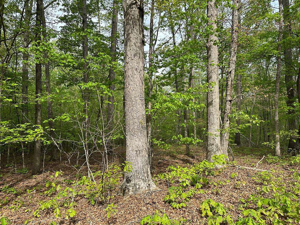 1.6 Acres of Residential Land for Sale in Clarksville, Virginia