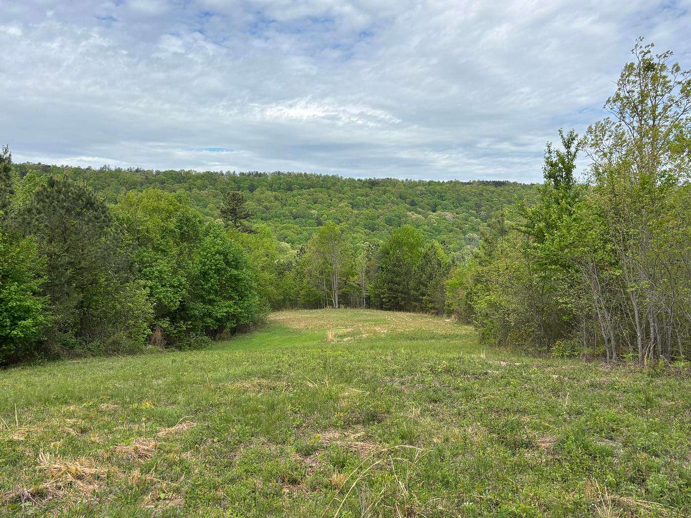 107 Acres of Land for Sale in Sale Creek, Tennessee