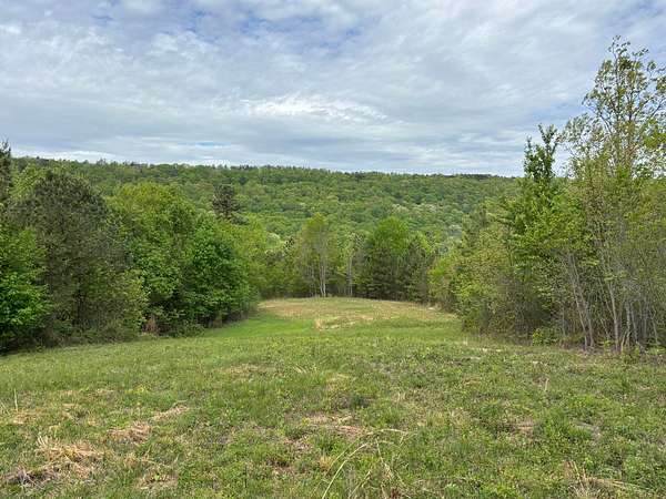 107 Acres of Land for Sale in Sale Creek, Tennessee