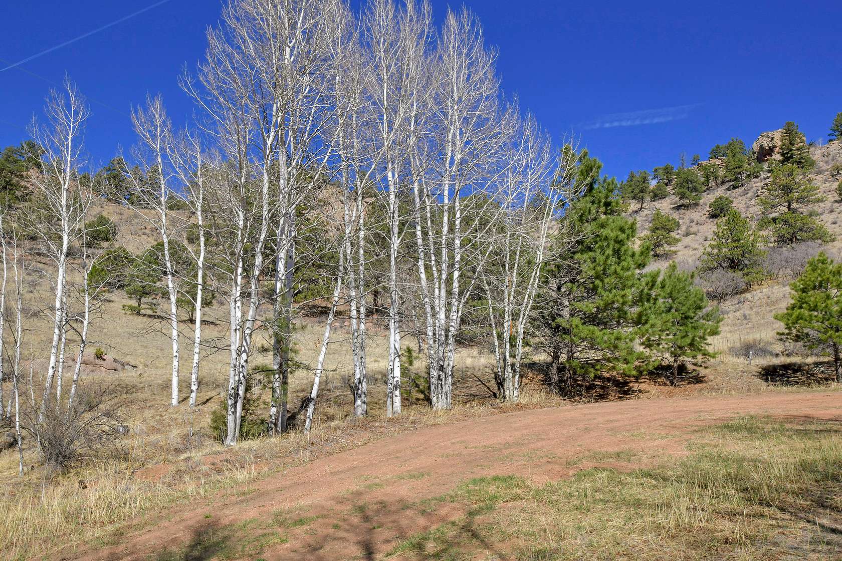 3.12 Acres of Land for Sale in Florissant, Colorado