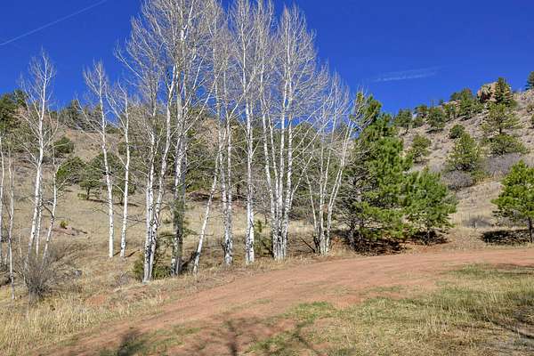 3.12 Acres of Land for Sale in Florissant, Colorado
