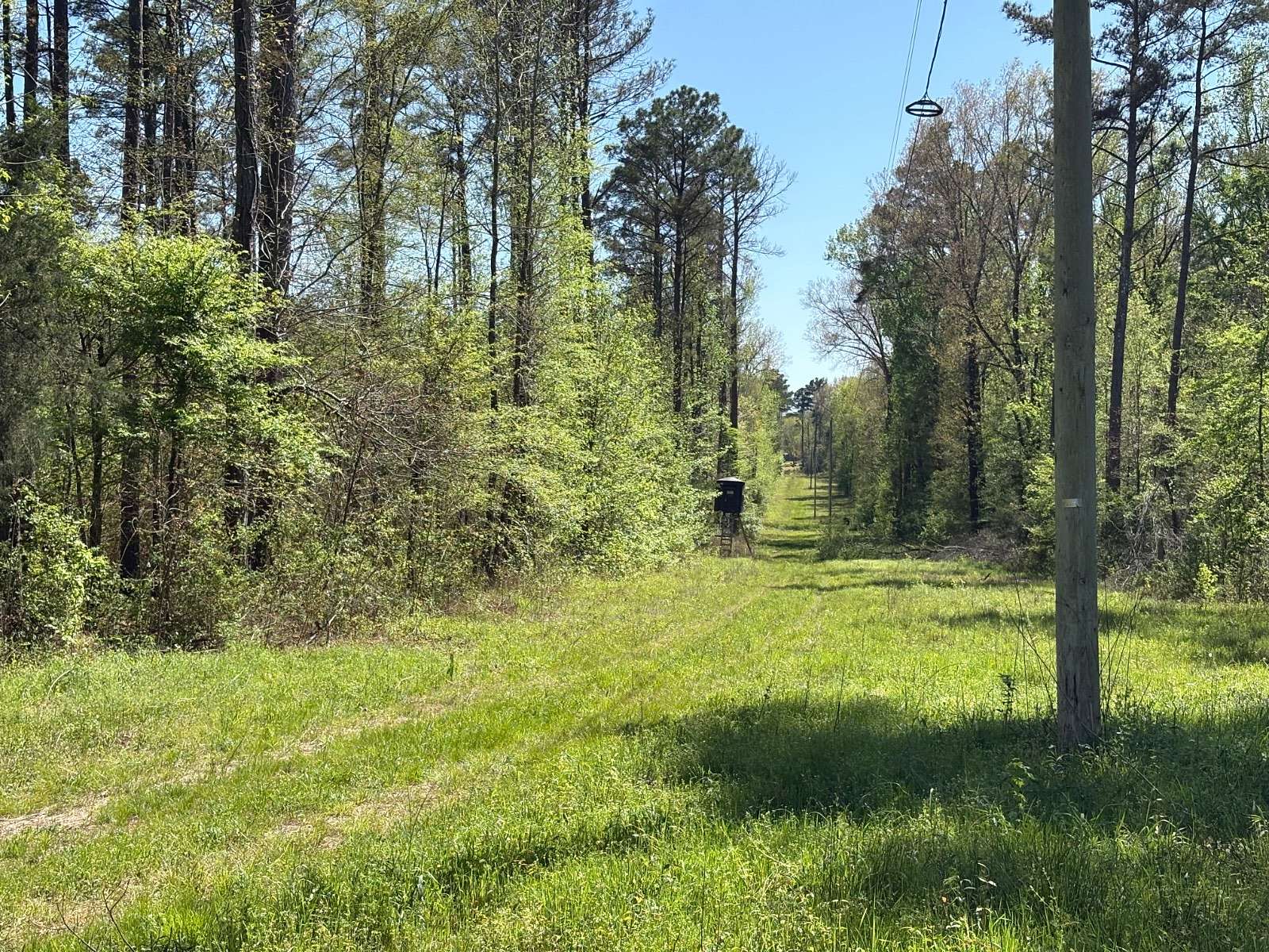 76 Acres of Land for Sale in Woodland, Mississippi