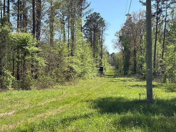 76 Acres of Land for Sale in Woodland, Mississippi