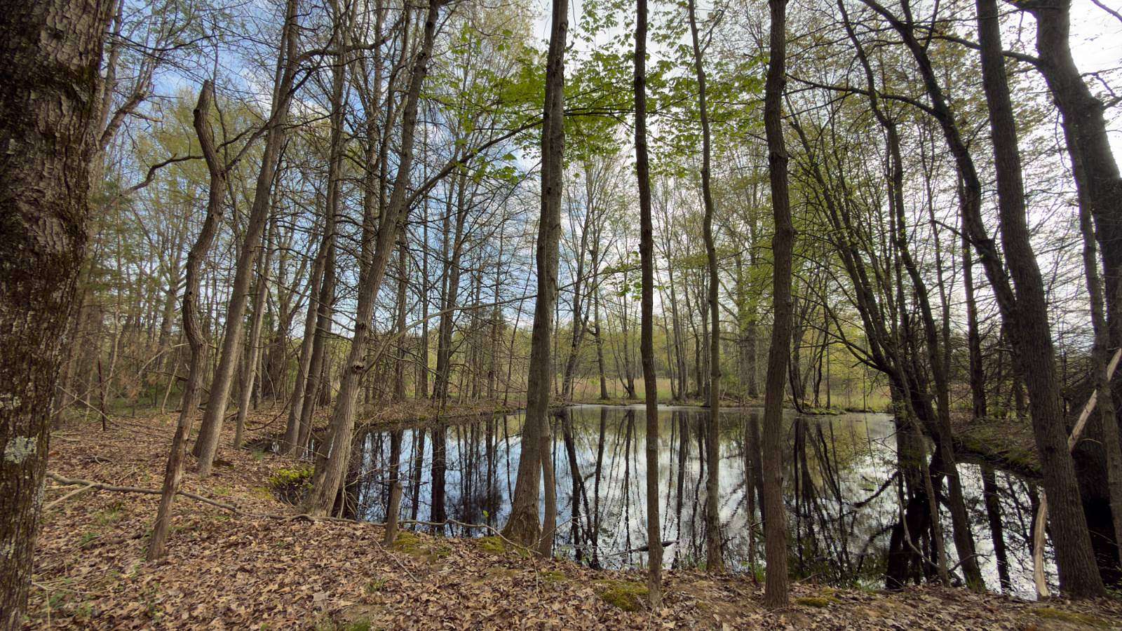 5.22 Acres of Residential Land for Sale in Bethel, Ohio