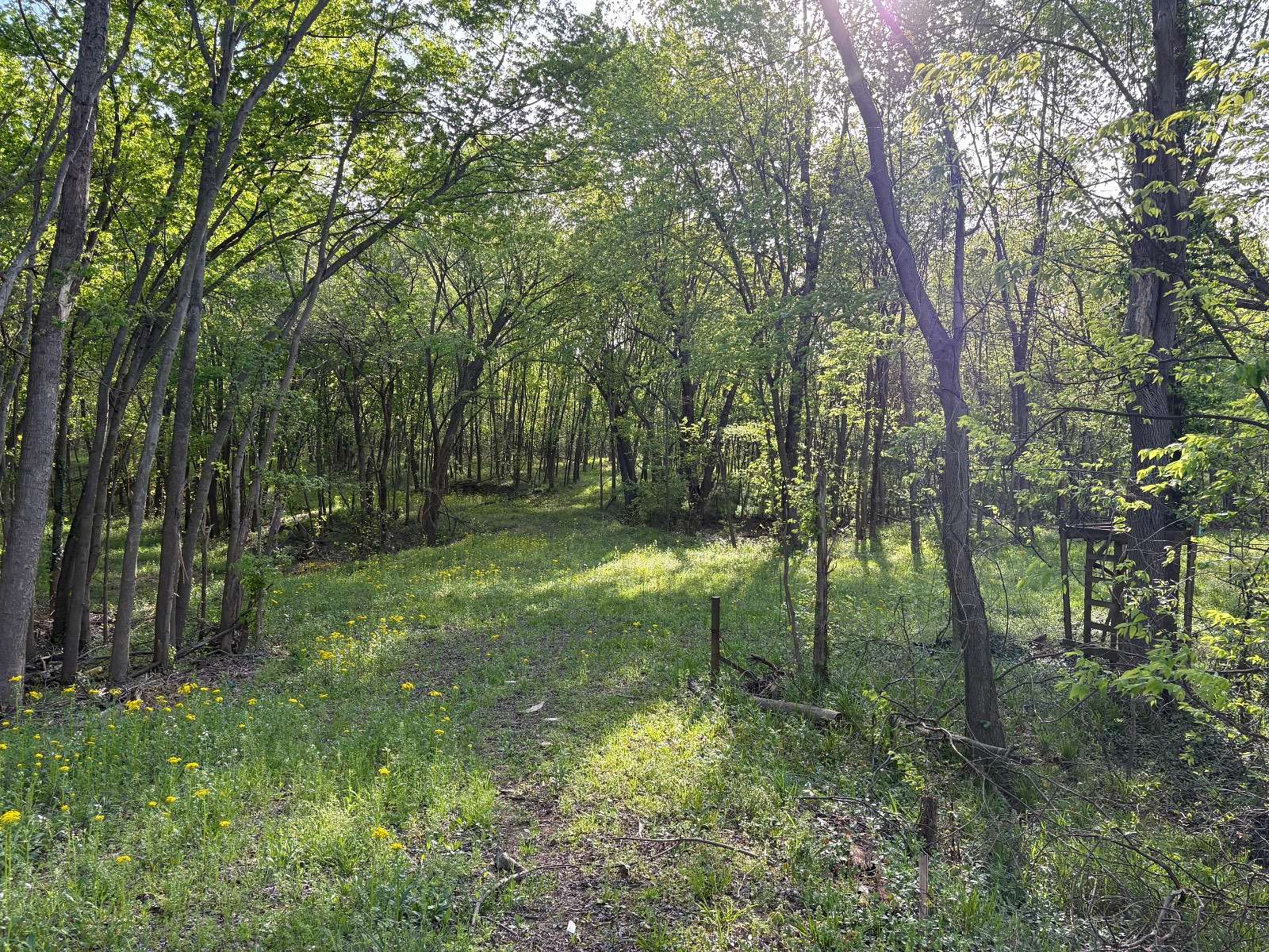 41 Acres of Recreational Land for Sale in Tell City, Indiana