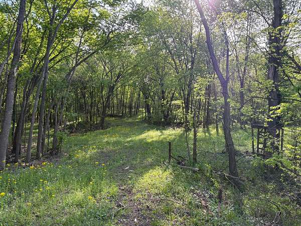 41 Acres of Recreational Land for Sale in Tell City, Indiana