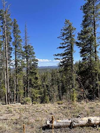 2.46 Acres of Residential Land for Sale in Red Feather Lakes, Colorado
